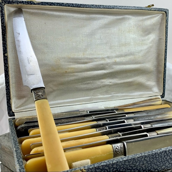VINTAGE BUTTERKNIFE SET W/CASE BONE LIKE HANDLES - Picture 8 of 11